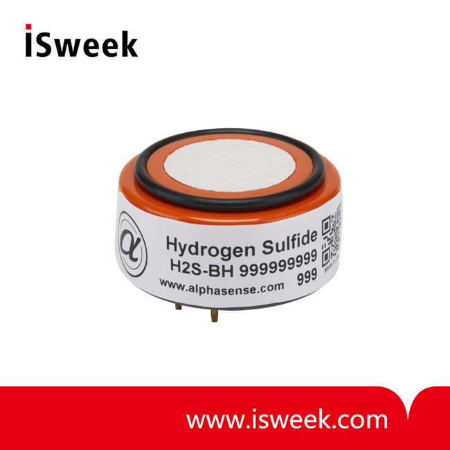 High Sensitivity Hydrogen Sulfide Sensor (H2S Sensor)