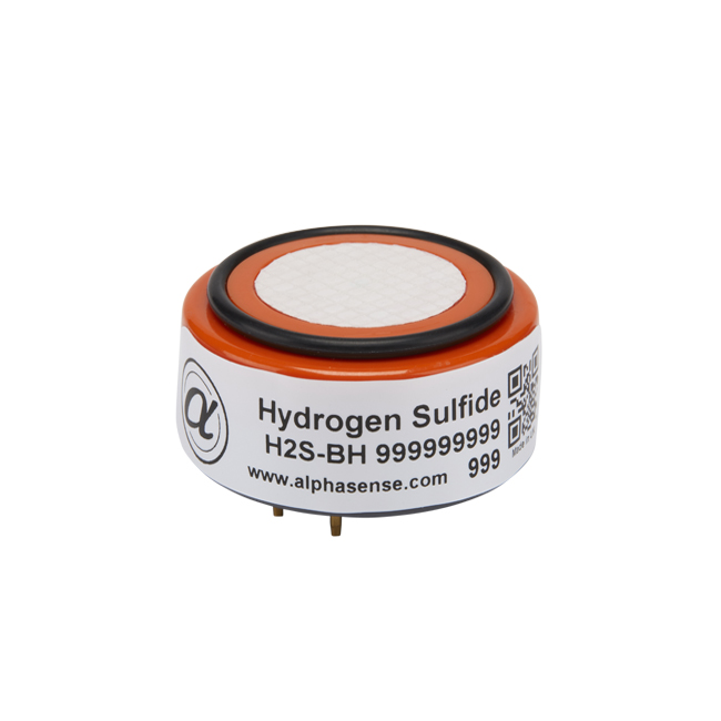 High Sensitivity Hydrogen Sulfide Sensor (H2S Sensor)